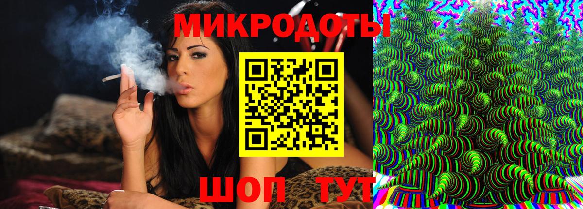 Псилоцибиновые грибы Psilocybe Заводоуковск