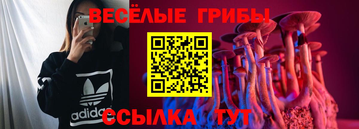 Псилоцибиновые грибы GOLDEN TEACHER Заводоуковск